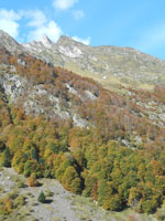 Randonnes et ski de randonnes en montagne dans les Pyrnes