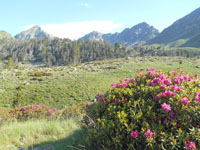 Randonn�es et ski de randonn�es en montagne dans les Pyr�n�es