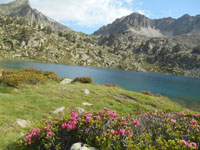 Randonn�es et ski de randonn�es en montagne dans les Pyr�n�es