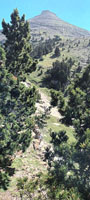 Randonnes et ski de randonnes en montagne dans les Pyrnes