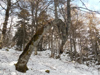 Randonnes et ski de randonnes en montagne dans les Pyrnes