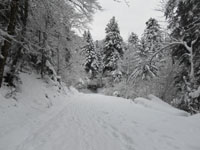 Randonnes et ski de randonnes en montagne dans les Pyrnes