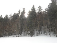 Randonnes et ski de randonnes en montagne dans les Pyrnes