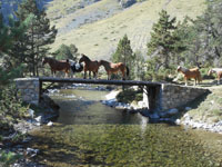 Randonn�es et ski de randonn�es en montagne dans les Pyr�n�es