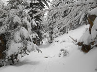 Randonnes et ski de randonnes en montagne dans les Pyrnes