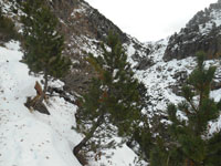 Randonnes et ski de randonnes en montagne dans les Pyrnes
