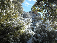 Randonn�es et ski de randonn�es en montagne dans les Pyr�n�es