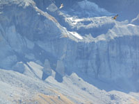 Randonn�es et ski de randonn�es en montagne dans les Pyr�n�es