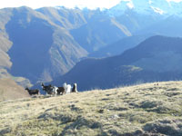 Randonnes et ski de randonnes en montagne dans les Pyrnes