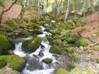 Randonn�es et ski de randonn�es en montagne dans les Pyr�n�es