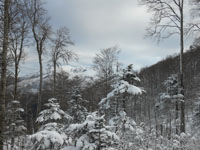 Randonnes et ski de randonnes en montagne dans les Pyrnes