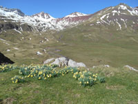 Randonnes et ski de randonnes en montagne dans les Pyrnes